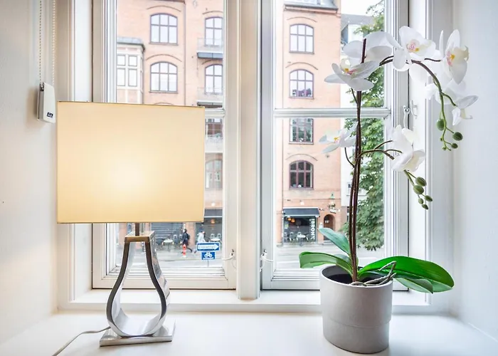 Renovated 1bedroom In Central